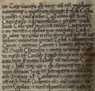 Sanas Cormaic folio M - entry for cetsoman included see http://www.asnc.cam.ac.uk/irishglossaries/view.php?versionID=8&msRef=fol.+178v&ref=218#218